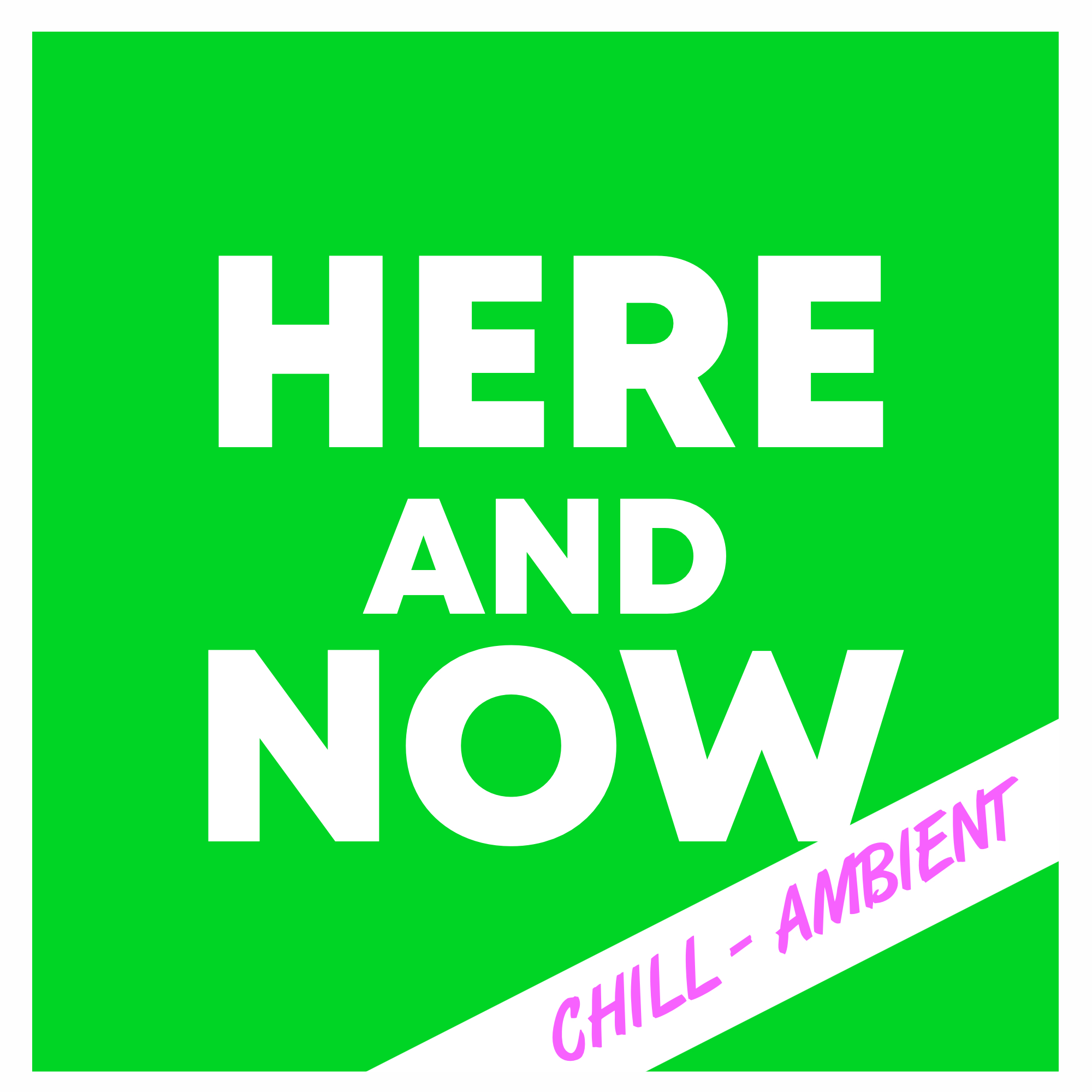 Logo H&N Chill Ambient